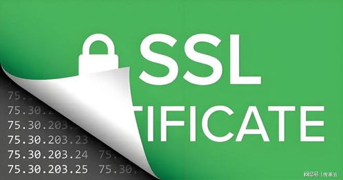 2025年濟南網站建設公司推薦